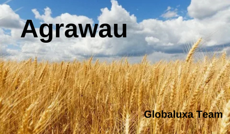 Agrawau: Revolutionizing the Global Food Industry with Locally Sourced Produce