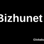 Bizhunet: Transforming Business Success in the Digital Era