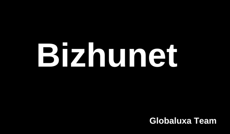 Bizhunet: Transforming Business Success in the Digital Era